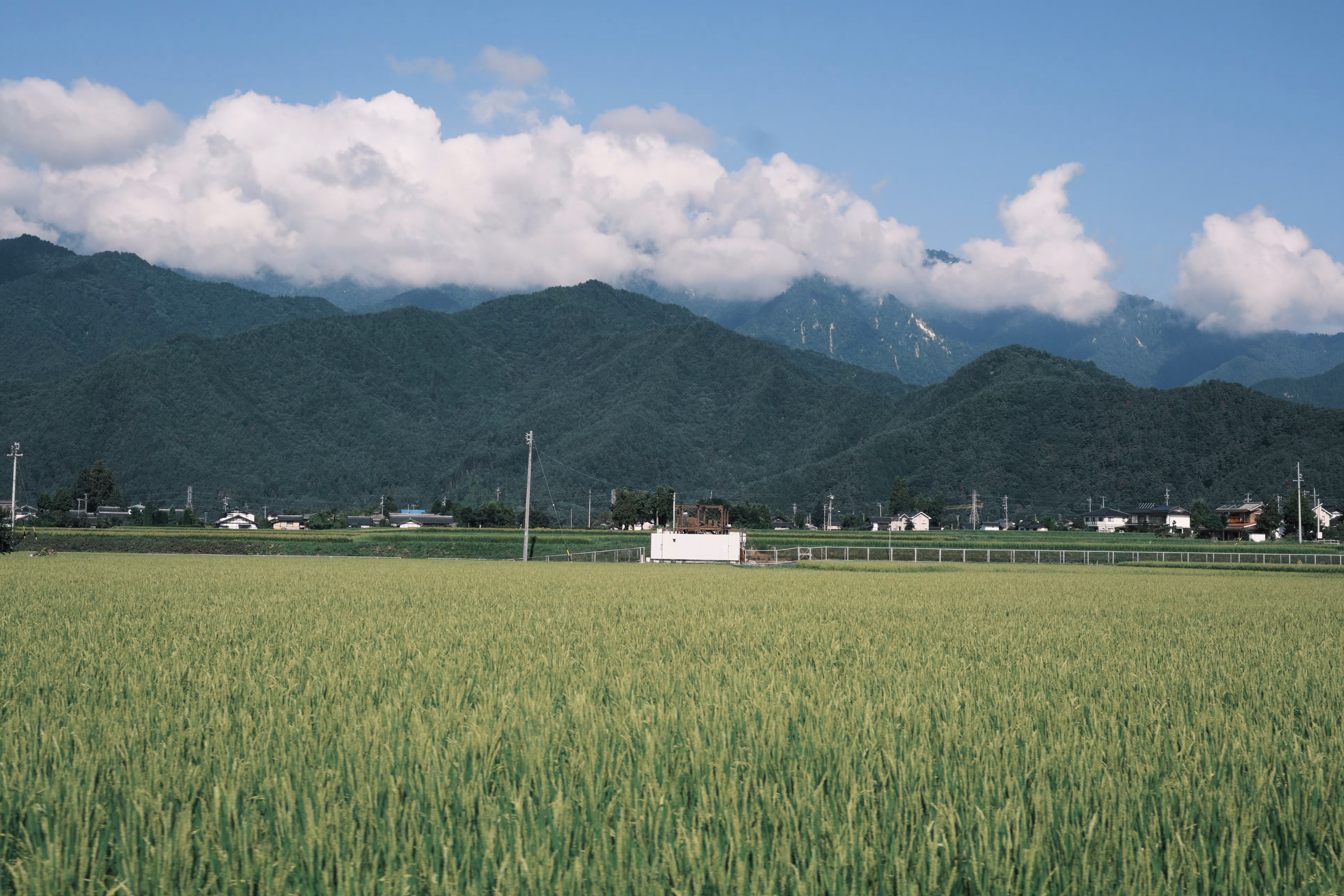 Classic Negative output